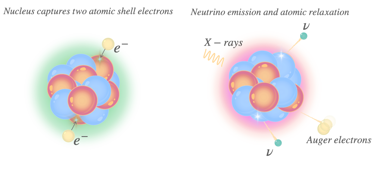 2ν2EC