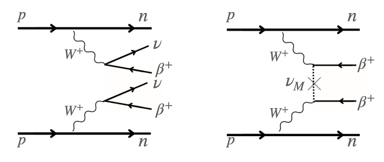 Feynman diagrams